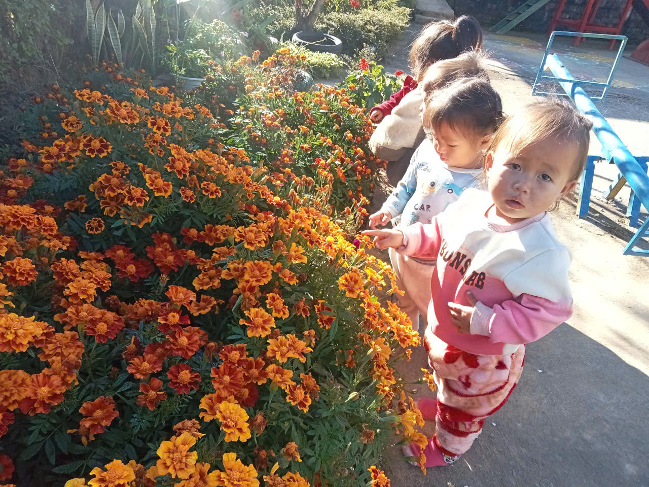 24687d0cac55230b7a44