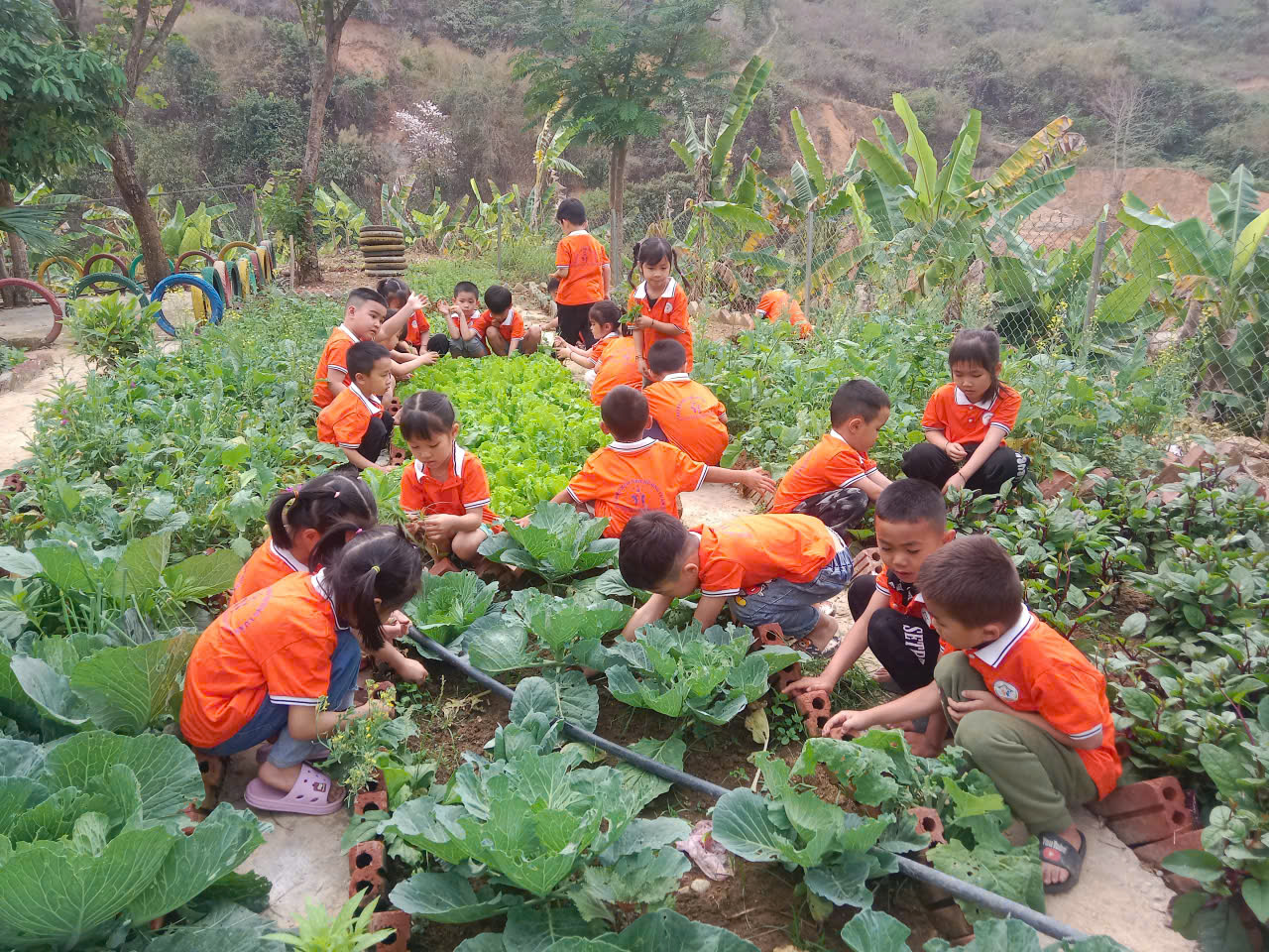 z7589674056165 235035030628e17830a82cb261e44fbd